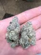 PLATINUM GRAPE PUNCH | THCA FLOWER | THCA 32.646% - 28 Grams - Ounce
